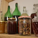 Vakantieboerderij Gorska Lesniczowka *