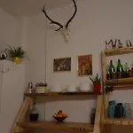 Gorska Lesniczowka Vakantieboerderij Zubrzyca Gorna