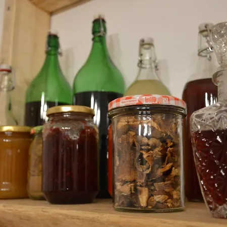 Séjour à la ferme Gorska Lesniczowka *